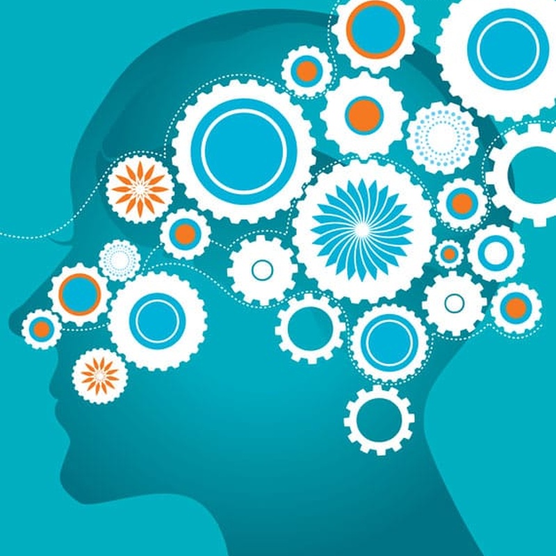 square whatsapp image 2026 03 12 at 12.49.09 pm